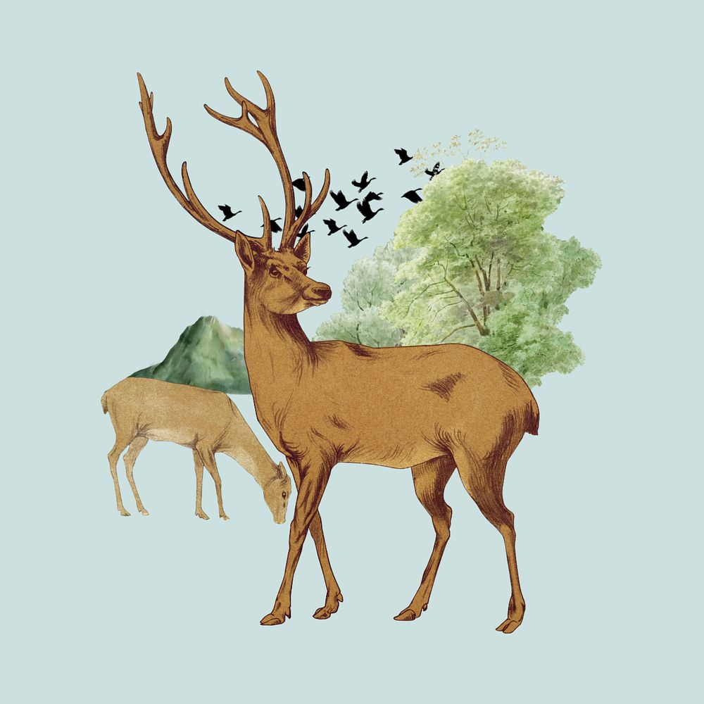 Stag deer, wild animal editable collage art