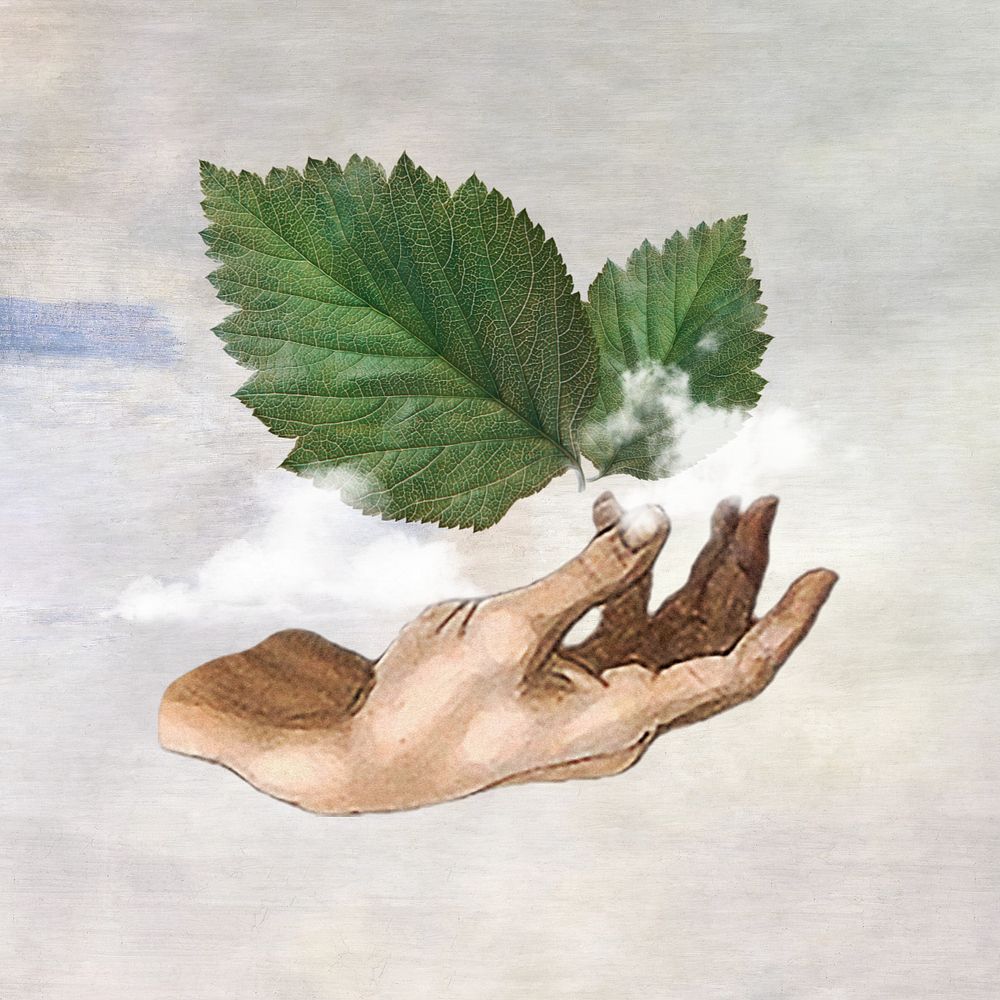 Fresh air, hand presenting leaf & cloud editable design. Remixed by rawpixel.