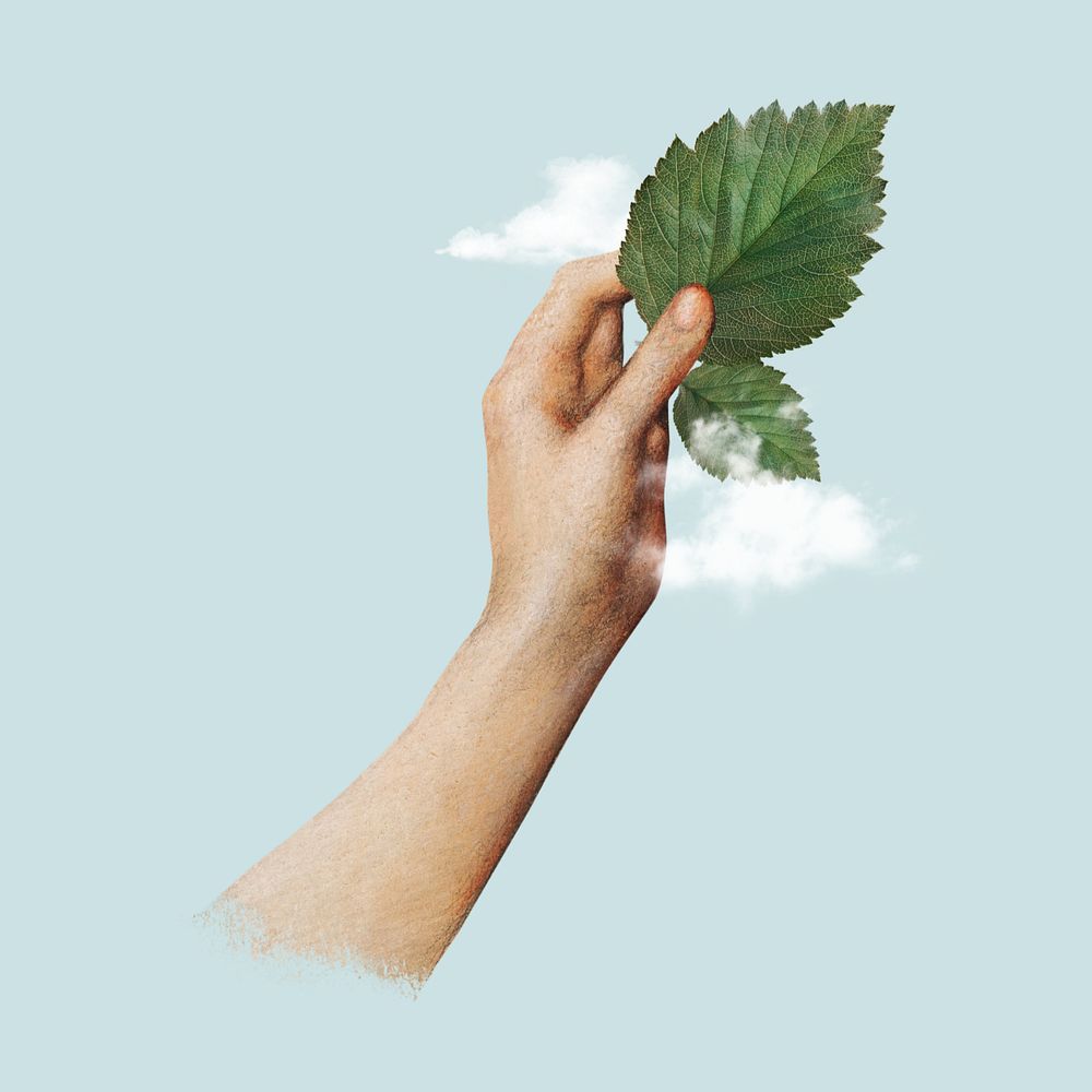 Hand holding leaf, editable clean air collage. Remixed by rawpixel.