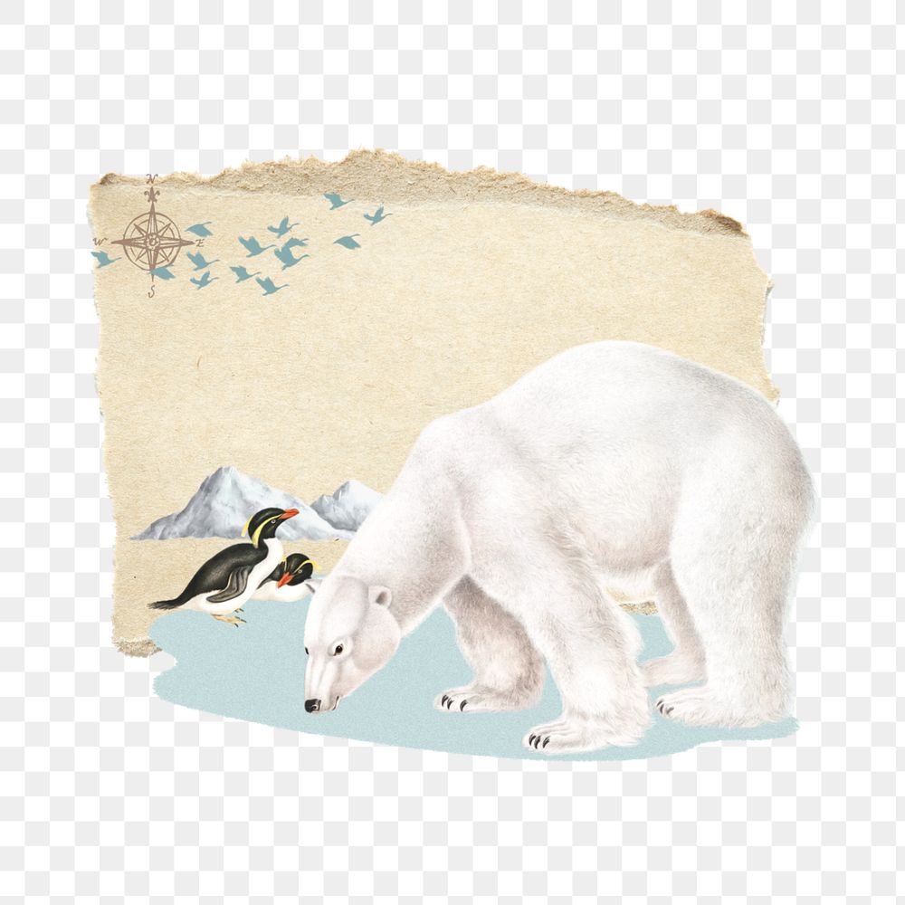 Polar bear png penguins, global warming editable collage art