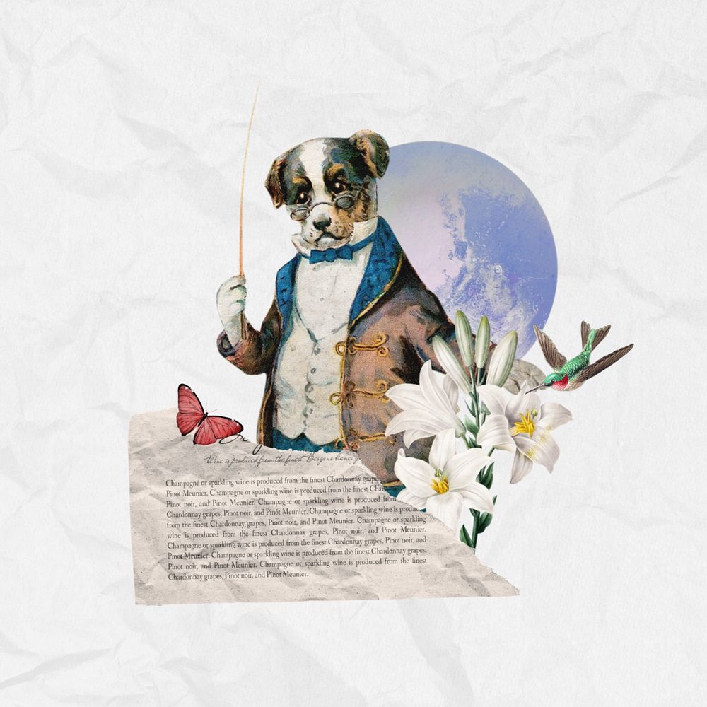 Dog music conductor, editable entertainment collage. Remixed by rawpixel.