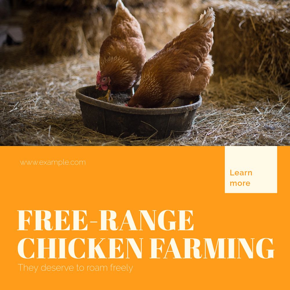 Chicken farming Instagram post template, editable design