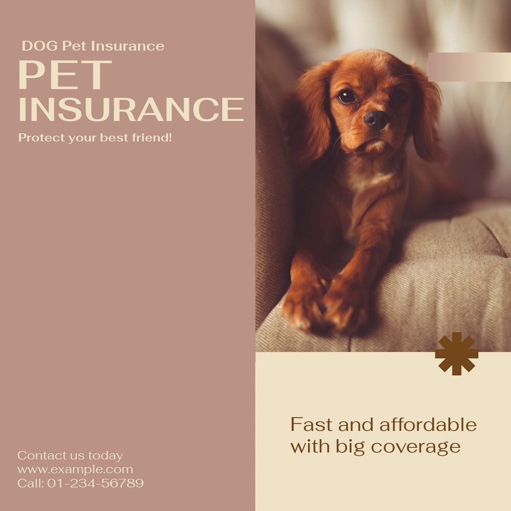 Pet insurance Instagram post template, editable design