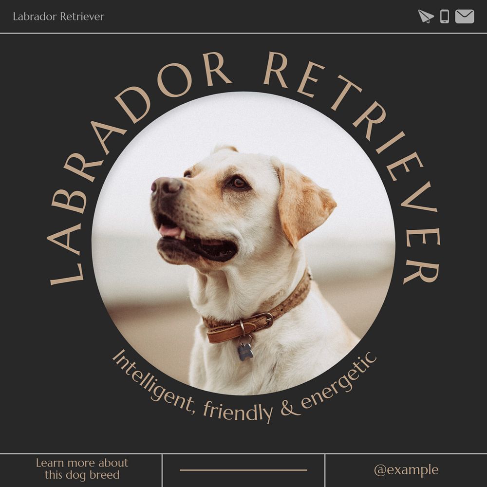 Labrador retriever post template, editable text for social media