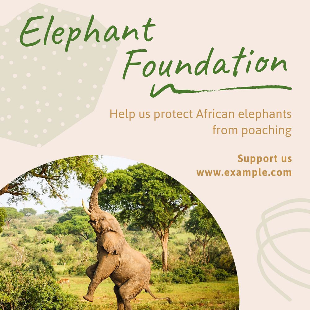 Elephant foundation Instagram post template, editable text