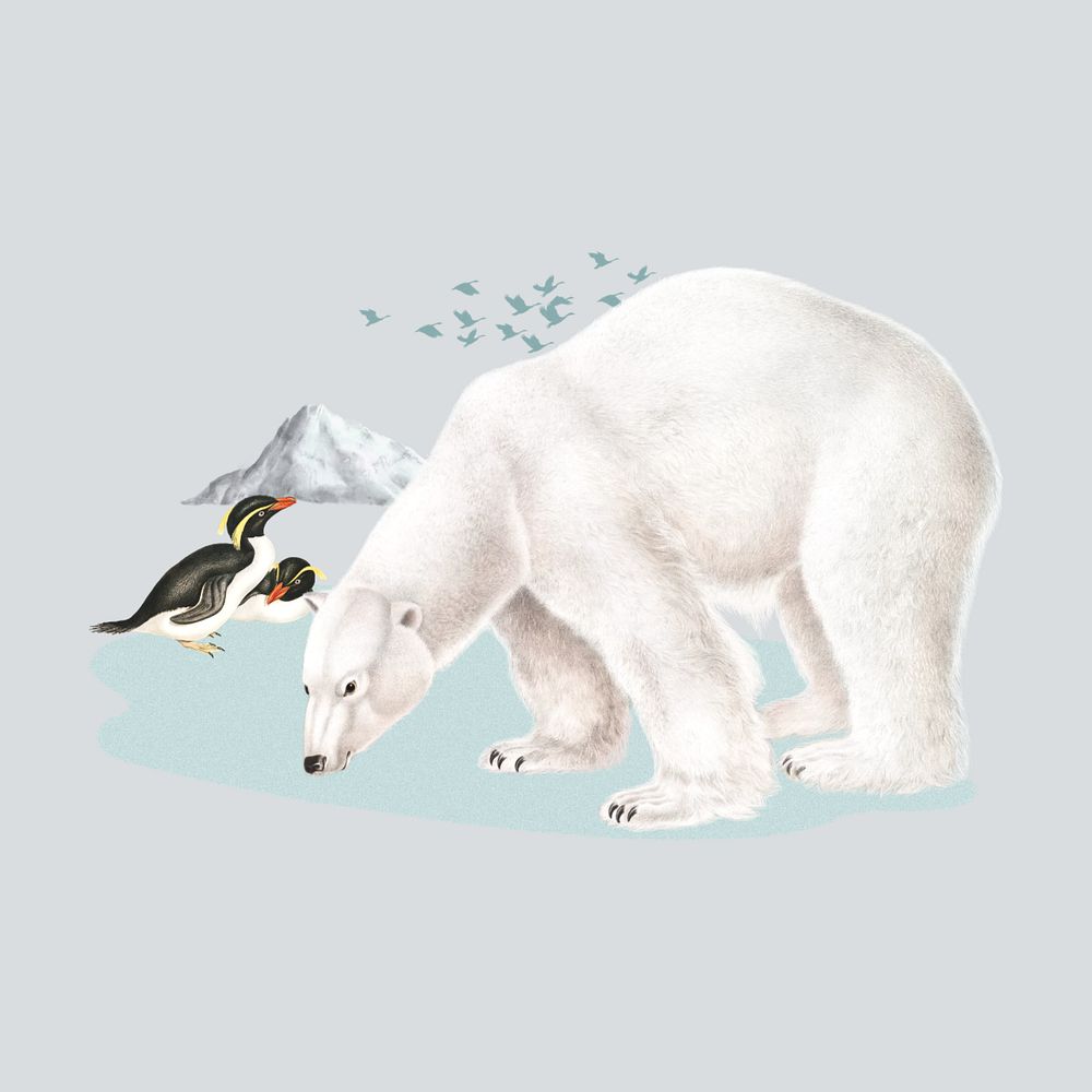 Polar bear and penguins, global warming editable collage art