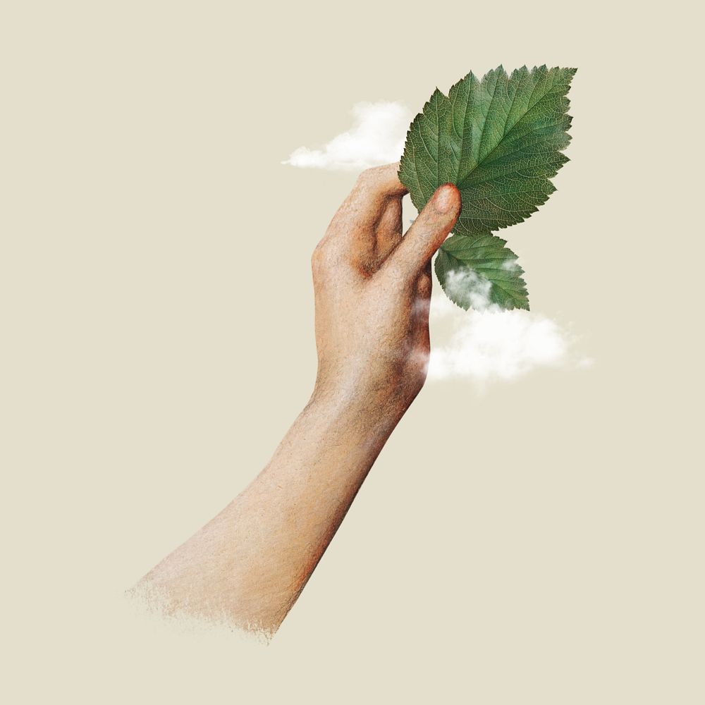 Hand holding leaf, editable clean air collage. Remixed by rawpixel.