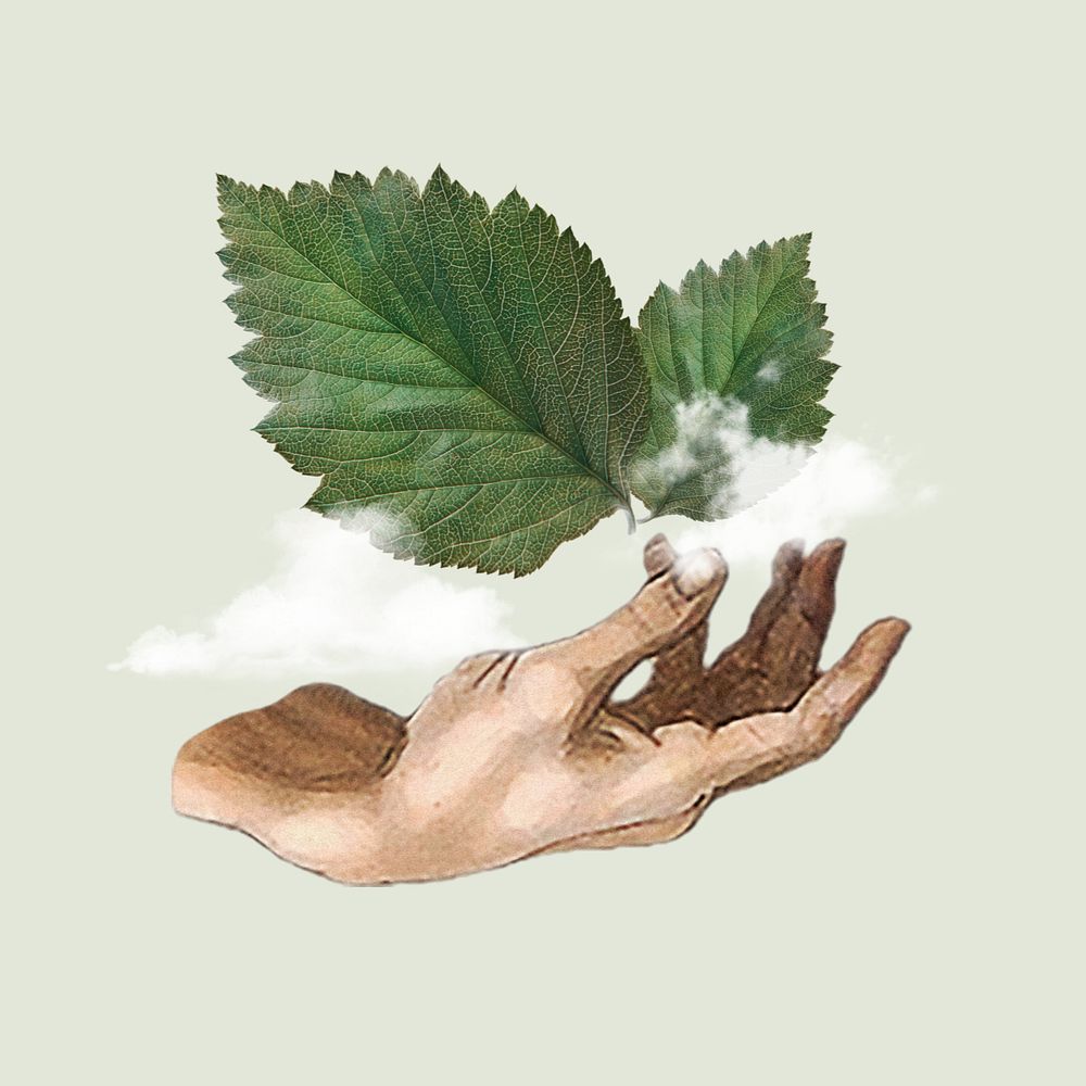 Fresh air, hand presenting leaf & cloud editable design. Remixed by rawpixel.