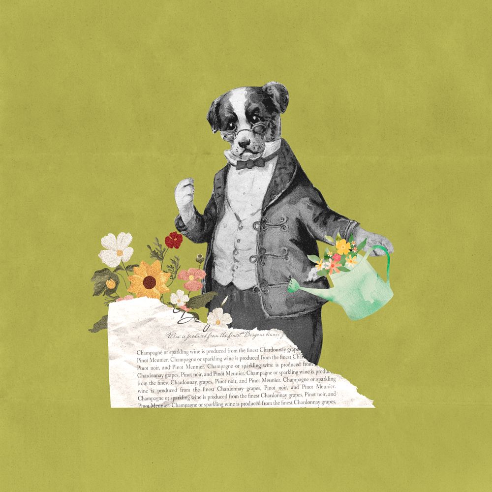 Dog watering flower, editable vintage collage. Remixed by rawpixel.