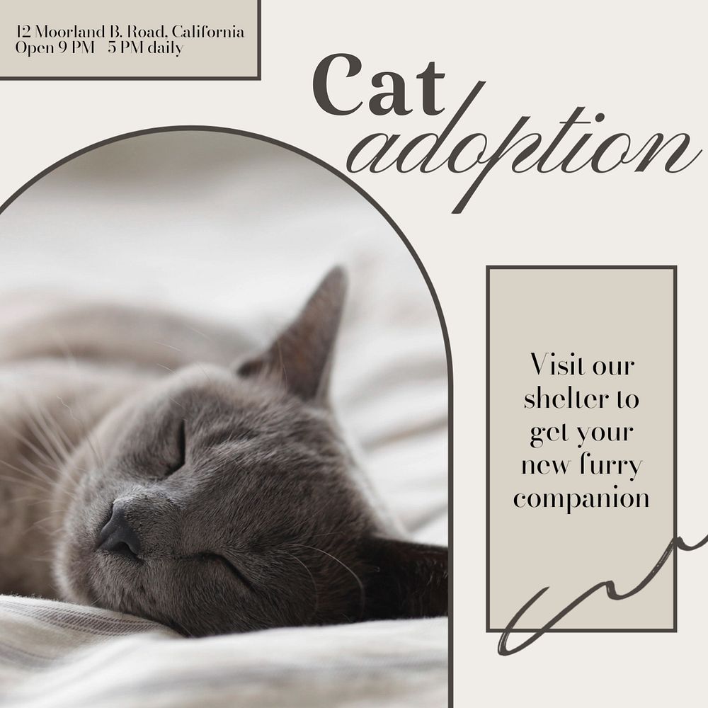 Cat adoption Instagram post template, editable text