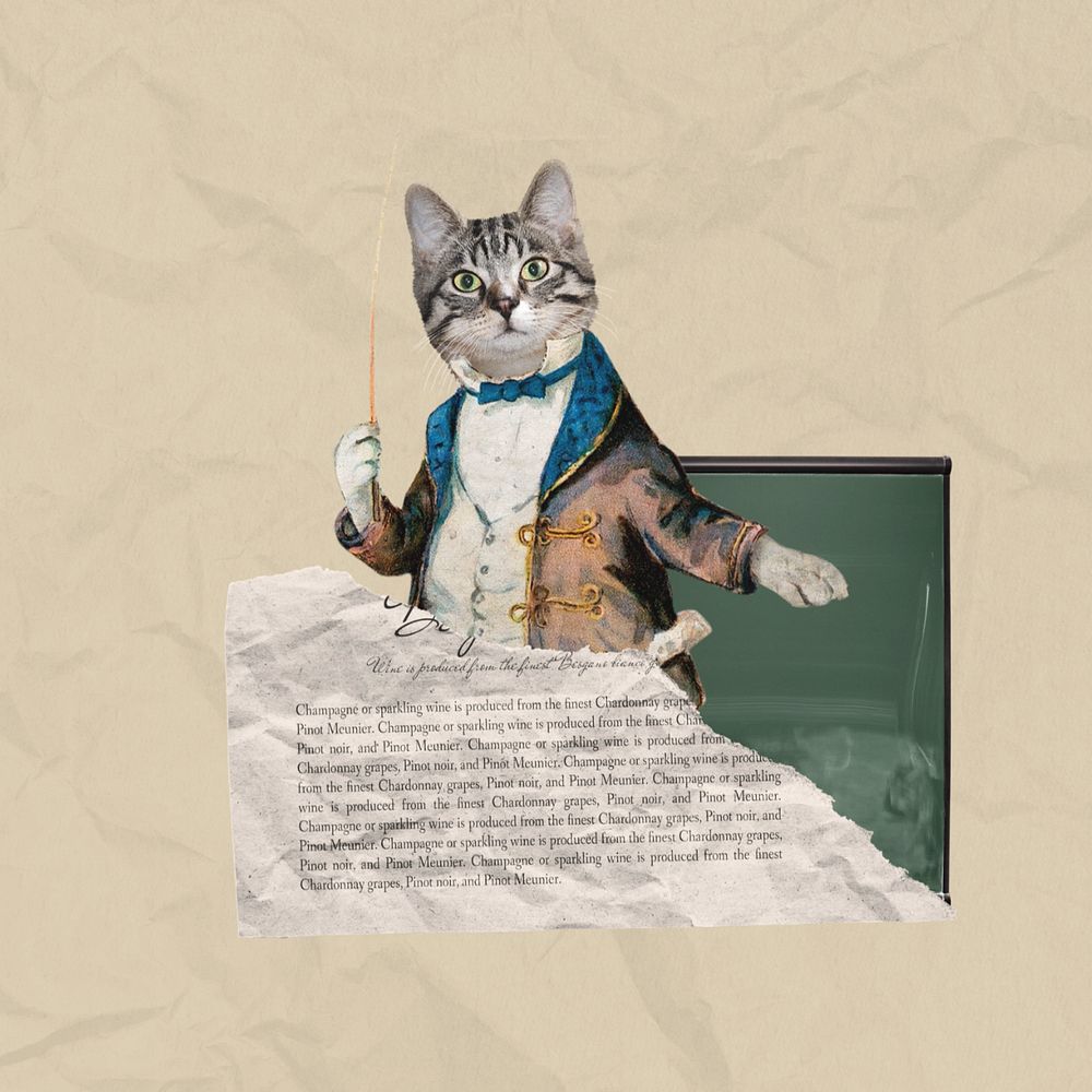 Cat dressed as teacher, education editable collage. Remixed by rawpixel.