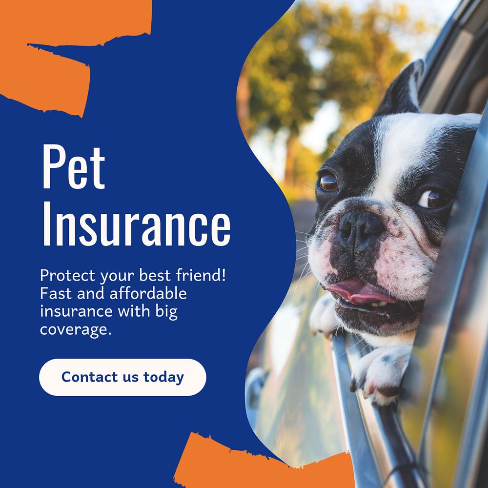 Pet insurance Instagram post template, editable text