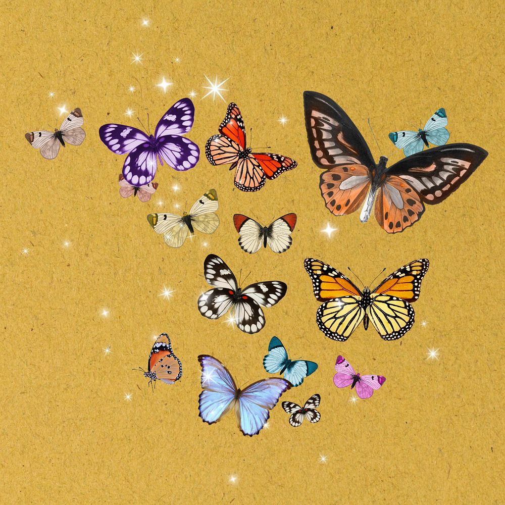 Sparkly colorful butterflies remix, editable design