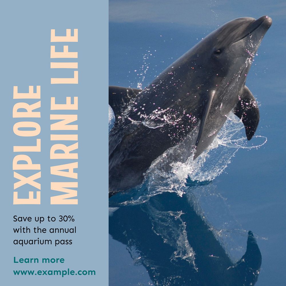 Explore marine life post template, editable social media design