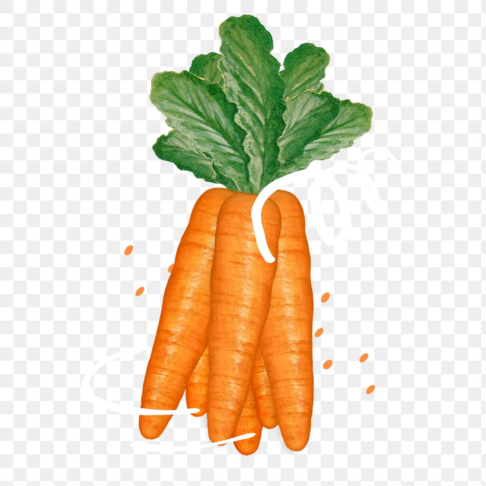 Carrot vegetable png sticker, healthy ingredient illustration, editable design