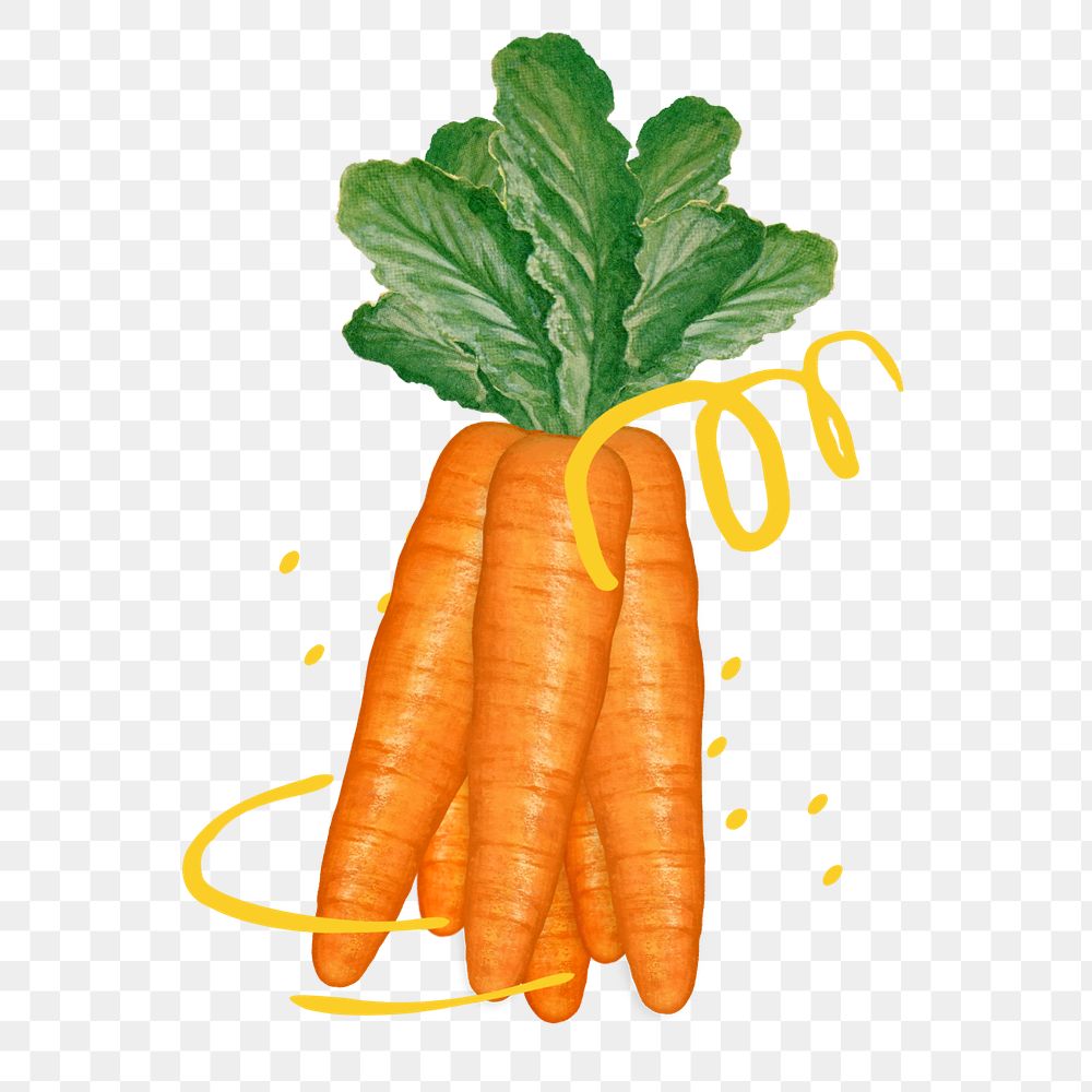 Carrot vegetable png sticker, healthy ingredient illustration, editable design