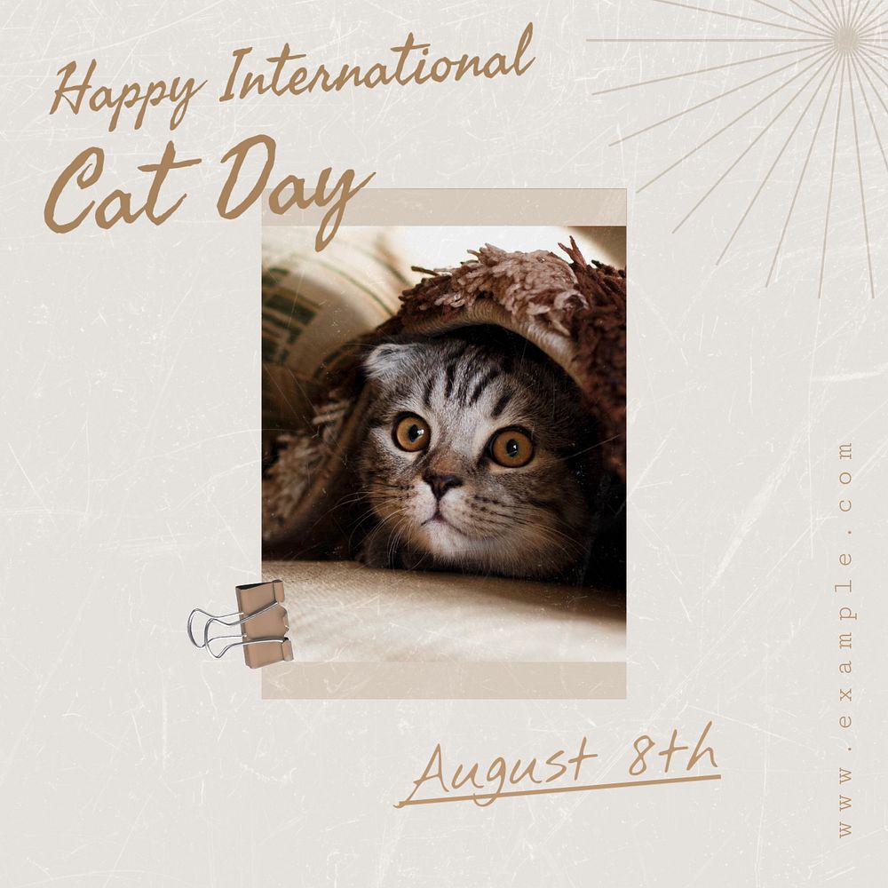 Cat day Instagram post template, editable text