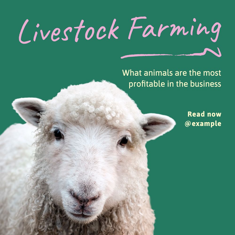 Livestock farming Instagram post template, editable text