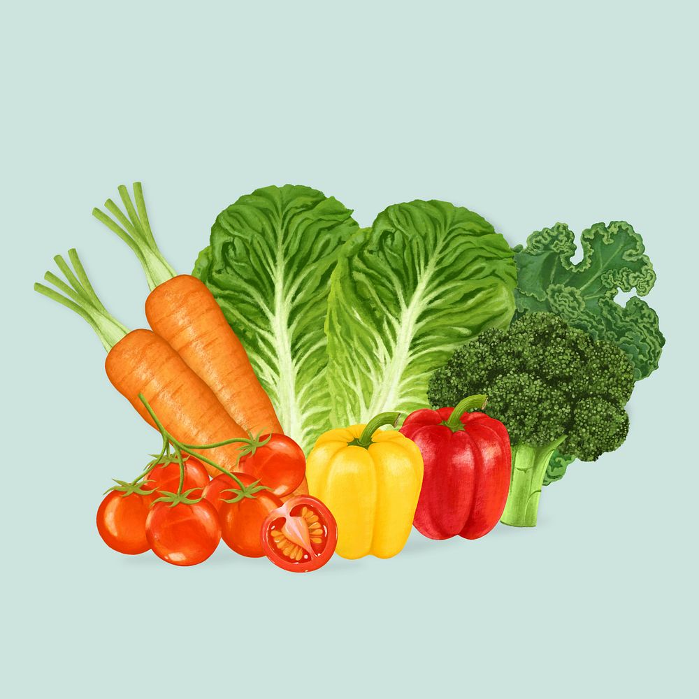 Variety of vegetables, healthy ingredient illustration, editable design