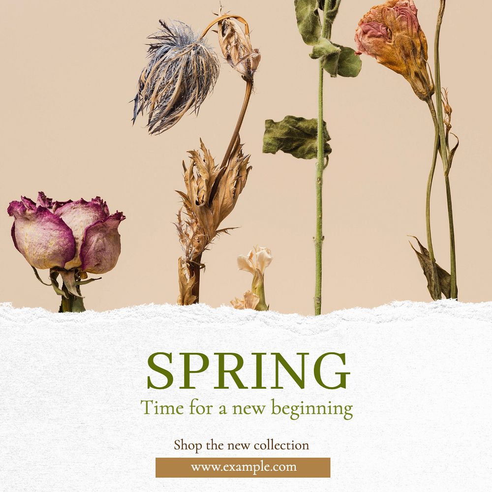 Spring collection Instagram post template, editable text