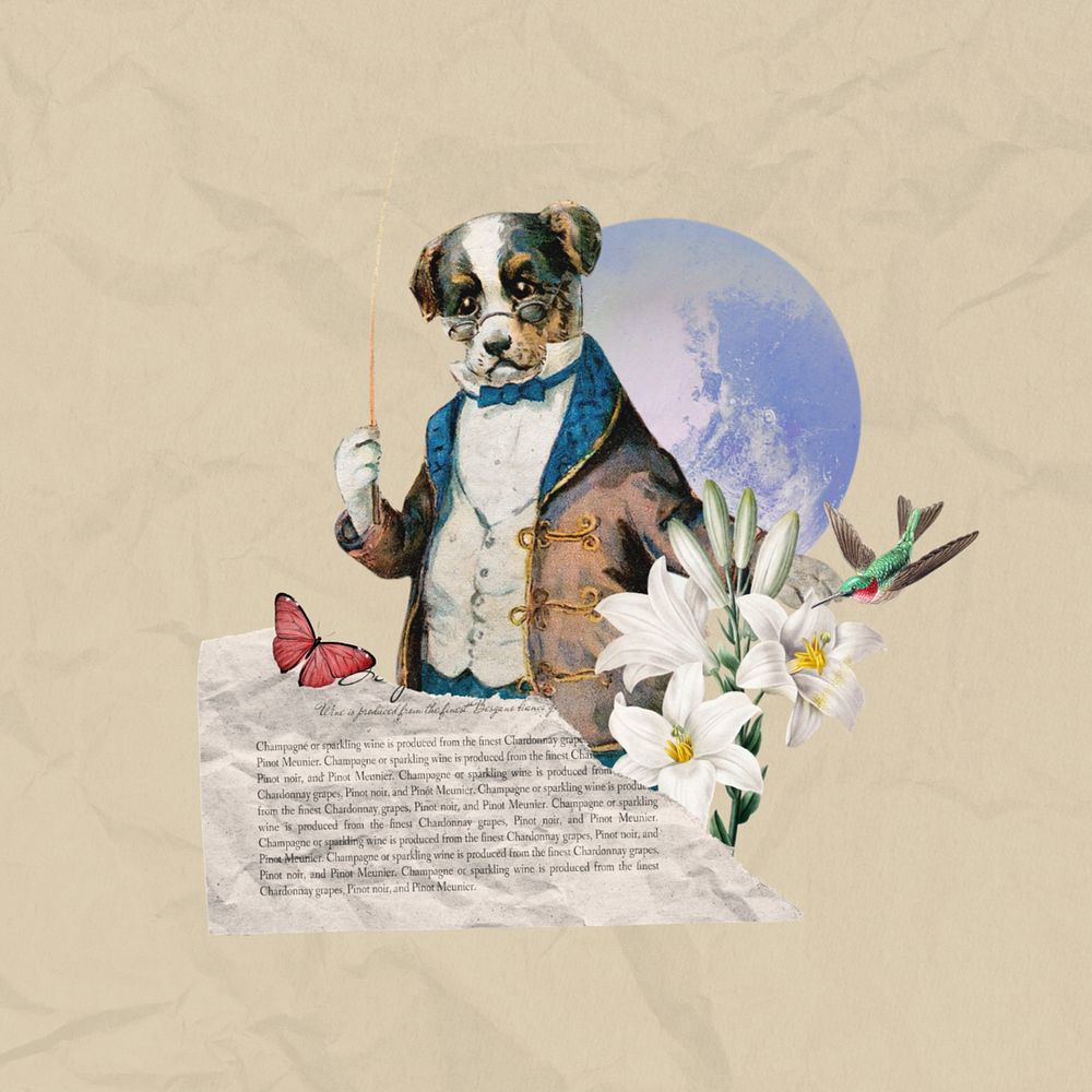 Dog music conductor, editable entertainment collage. Remixed by rawpixel.