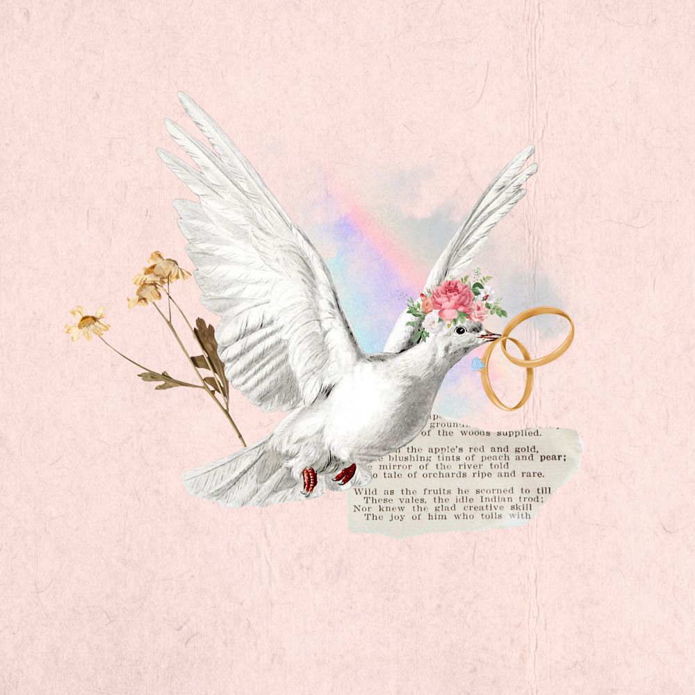 Wedding rings, flying dove aesthetic editable collage. Remixed by rawpixel.