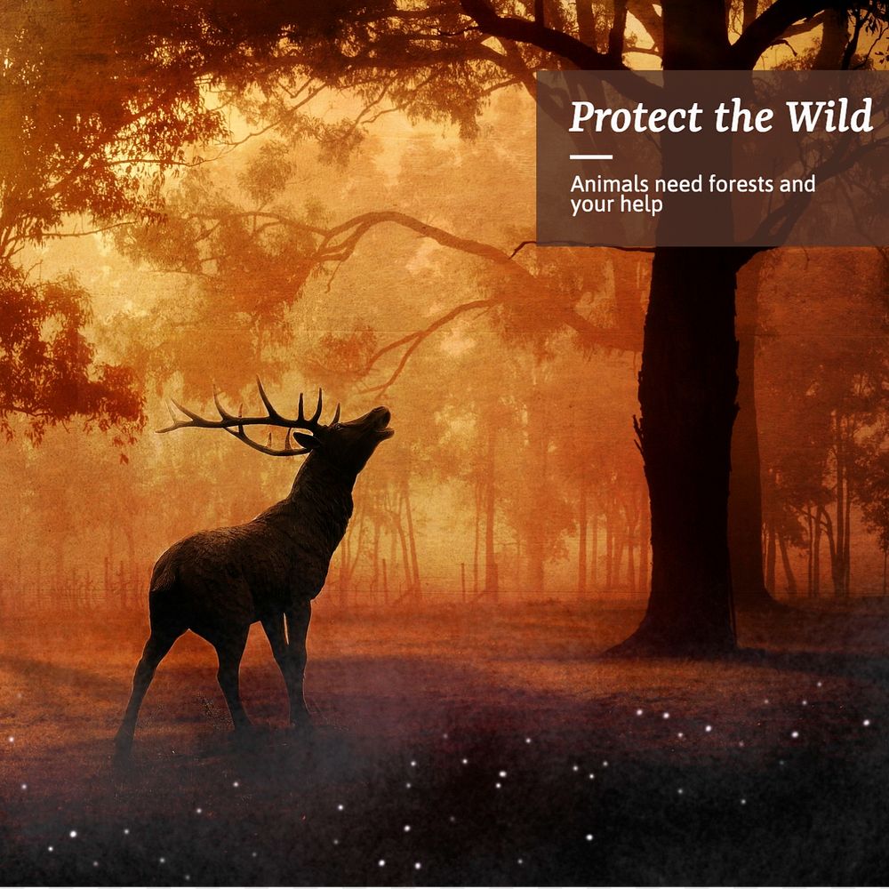 Protect the wild Instagram post template, editable text