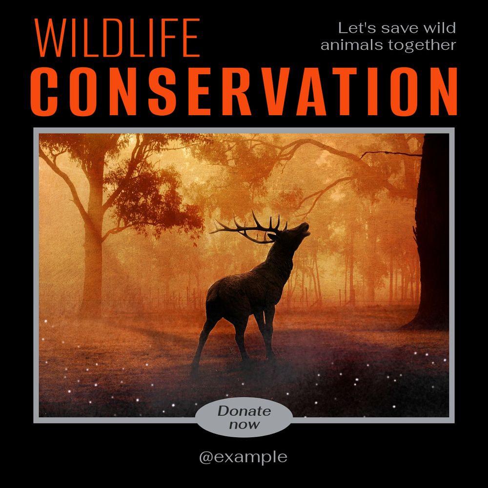 Wildlife conservation Instagram post template, editable text