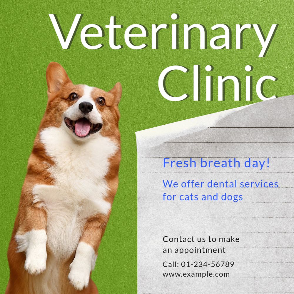 Veterinary clinic Instagram post template, editable text