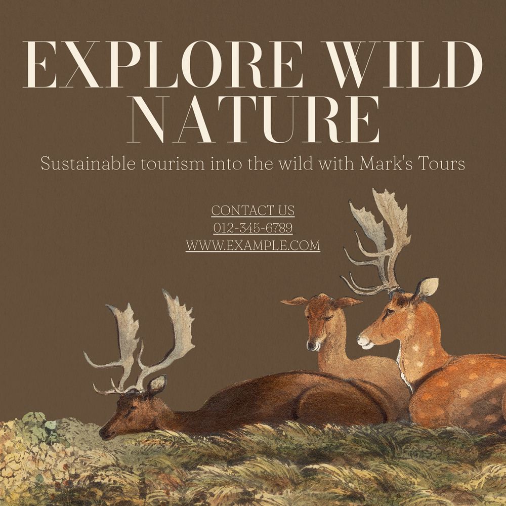 Explore wild nature Instagram post template, editable text