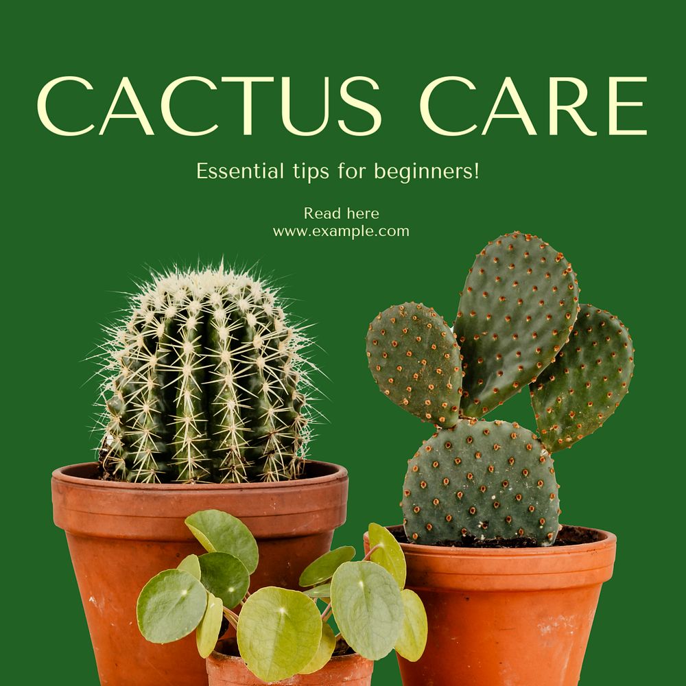 Cactus care Instagram post template, editable text