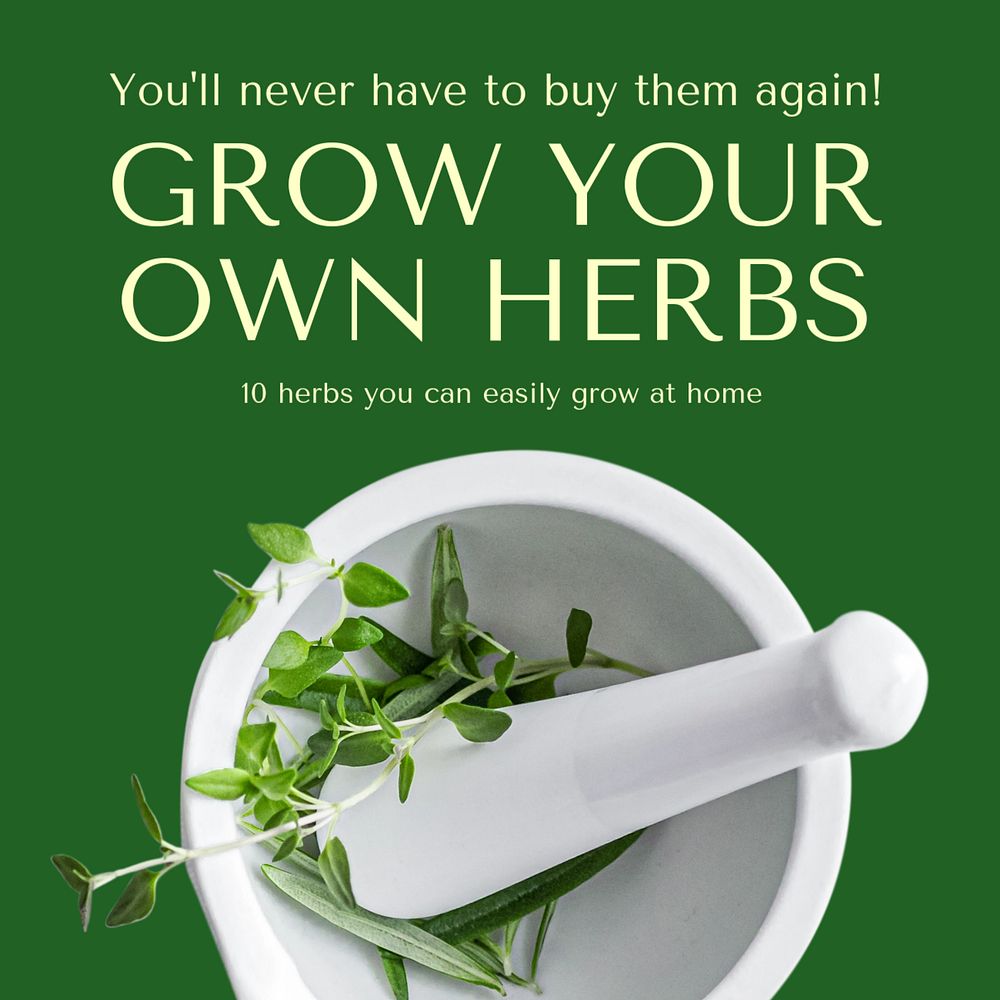 Herbs Instagram post template, editable text