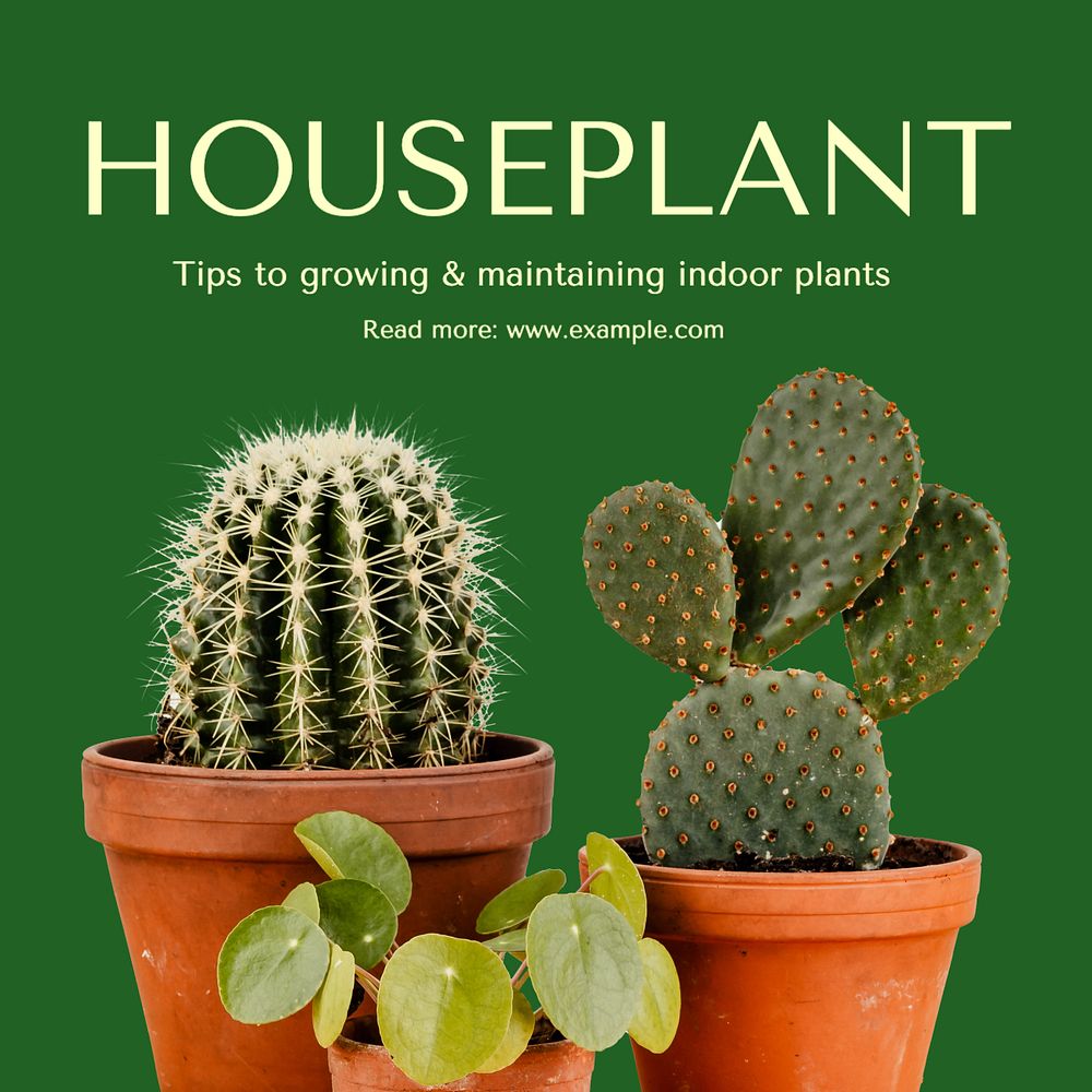 Houseplant tips Instagram post template, editable text