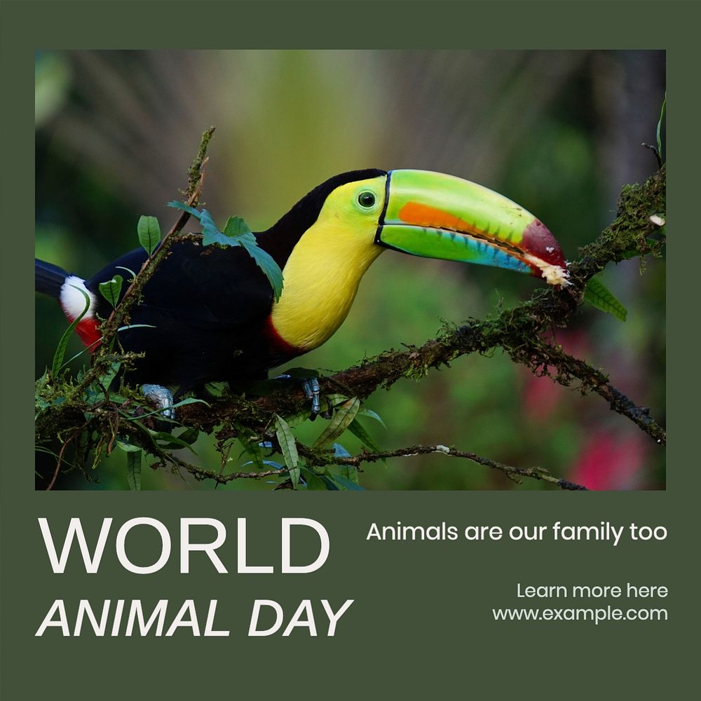 World animal day Instagram post template, editable text