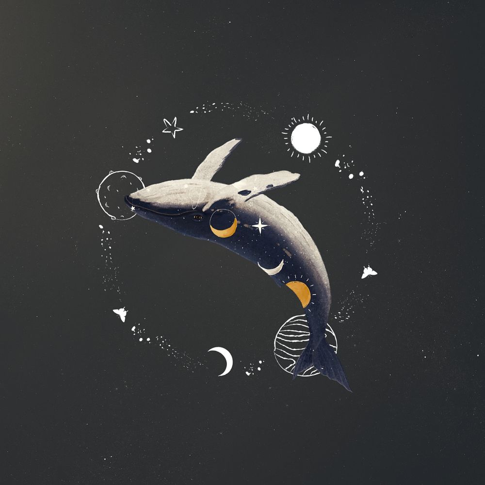 Swimming whale, galaxy aesthetic editable remix