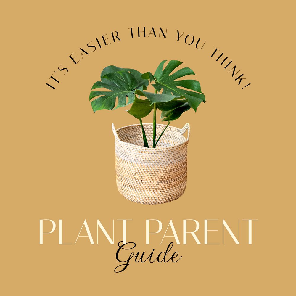 Plant parent guide Instagram post template, editable text