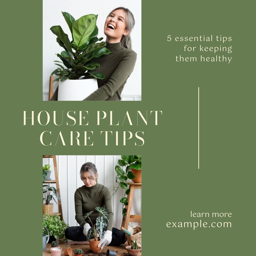 House plant care Instagram post template, editable text