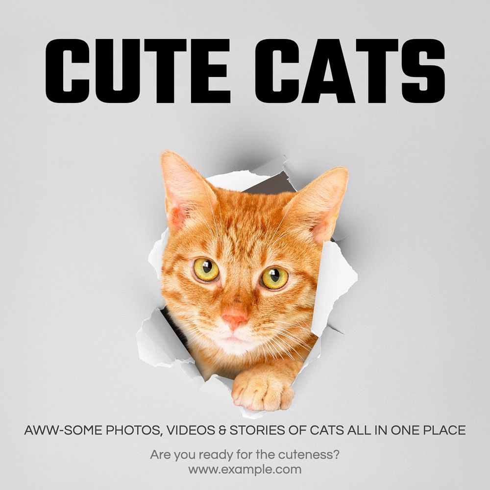 Cute cats Instagram post template, editable text