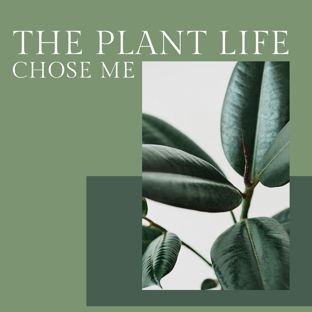 Plant life quote Instagram post template, editable text