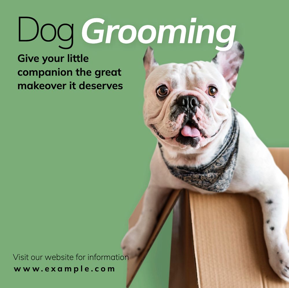 Dog grooming Instagram post template, editable text