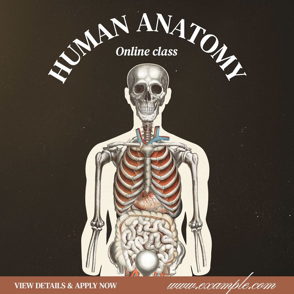 Human anatomy Instagram post template, editable text