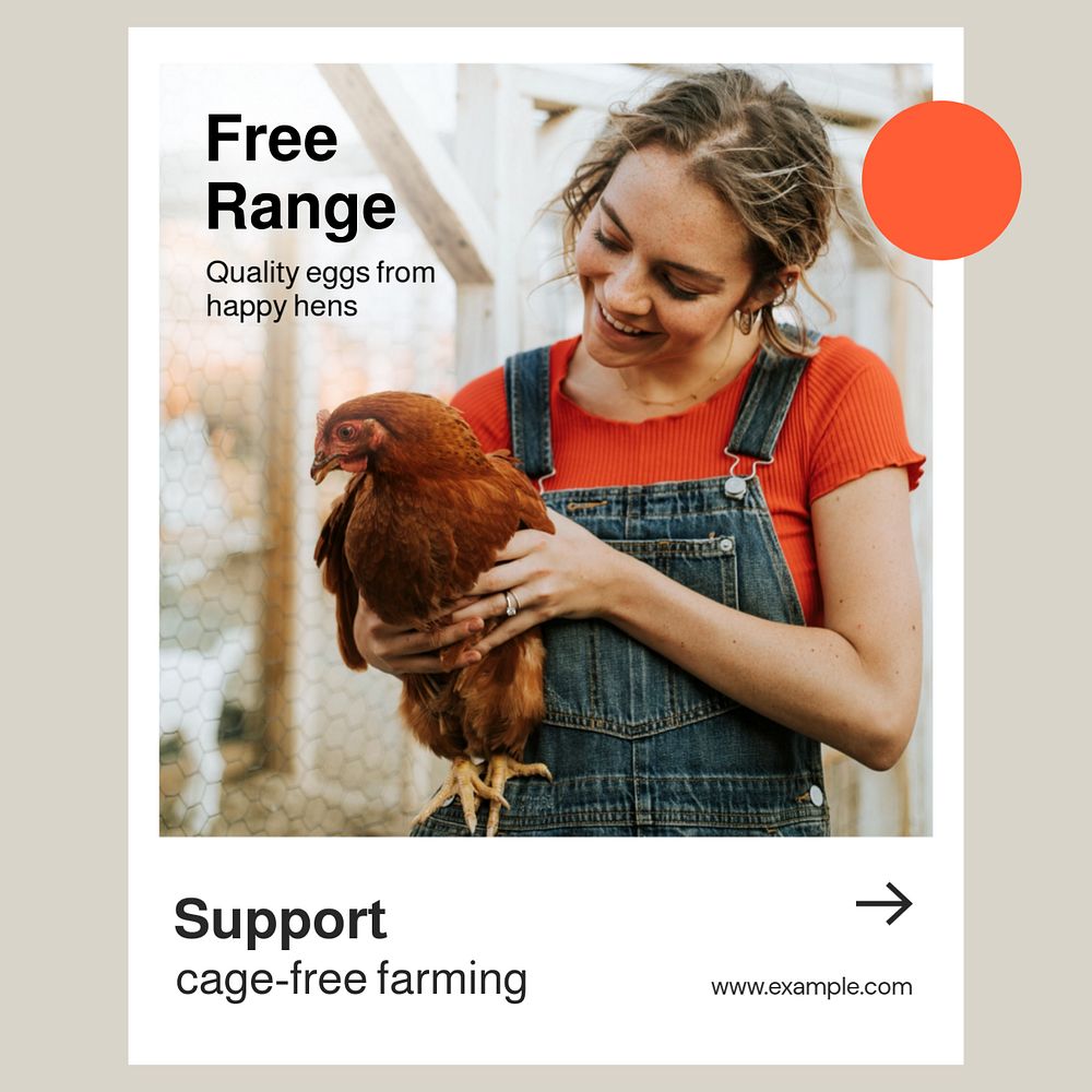 Free range Instagram post template, editable text