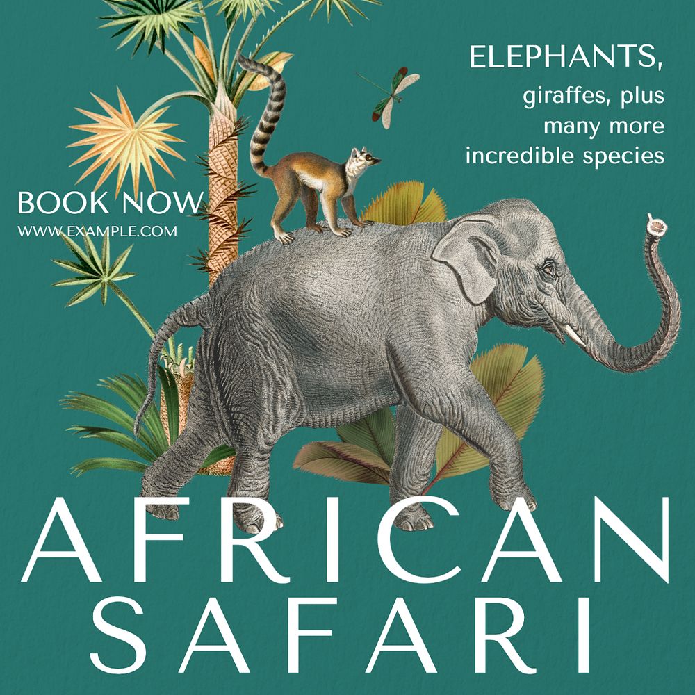 African safari Instagram post template, editable text