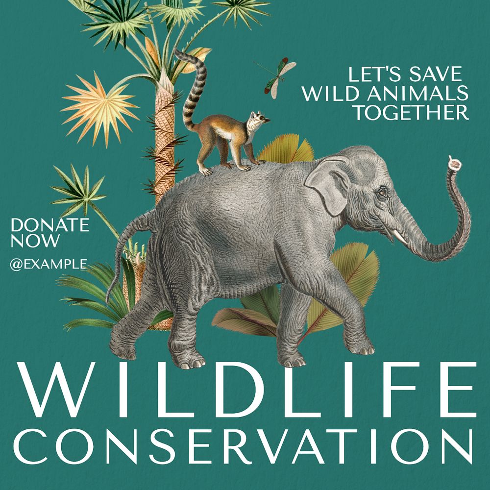 Wildlife conservation Instagram post template, editable text