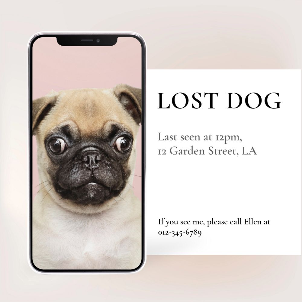 Lost dog Instagram post template, editable text