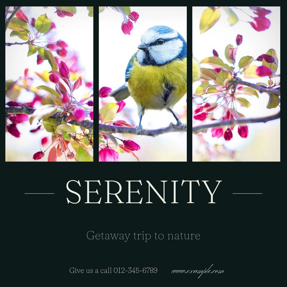 Serenity & nature trip Instagram post template, editable text