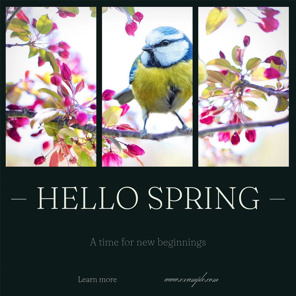 Hello spring Instagram post template, editable text