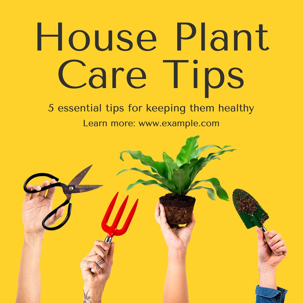 House plant care Instagram post template, editable text