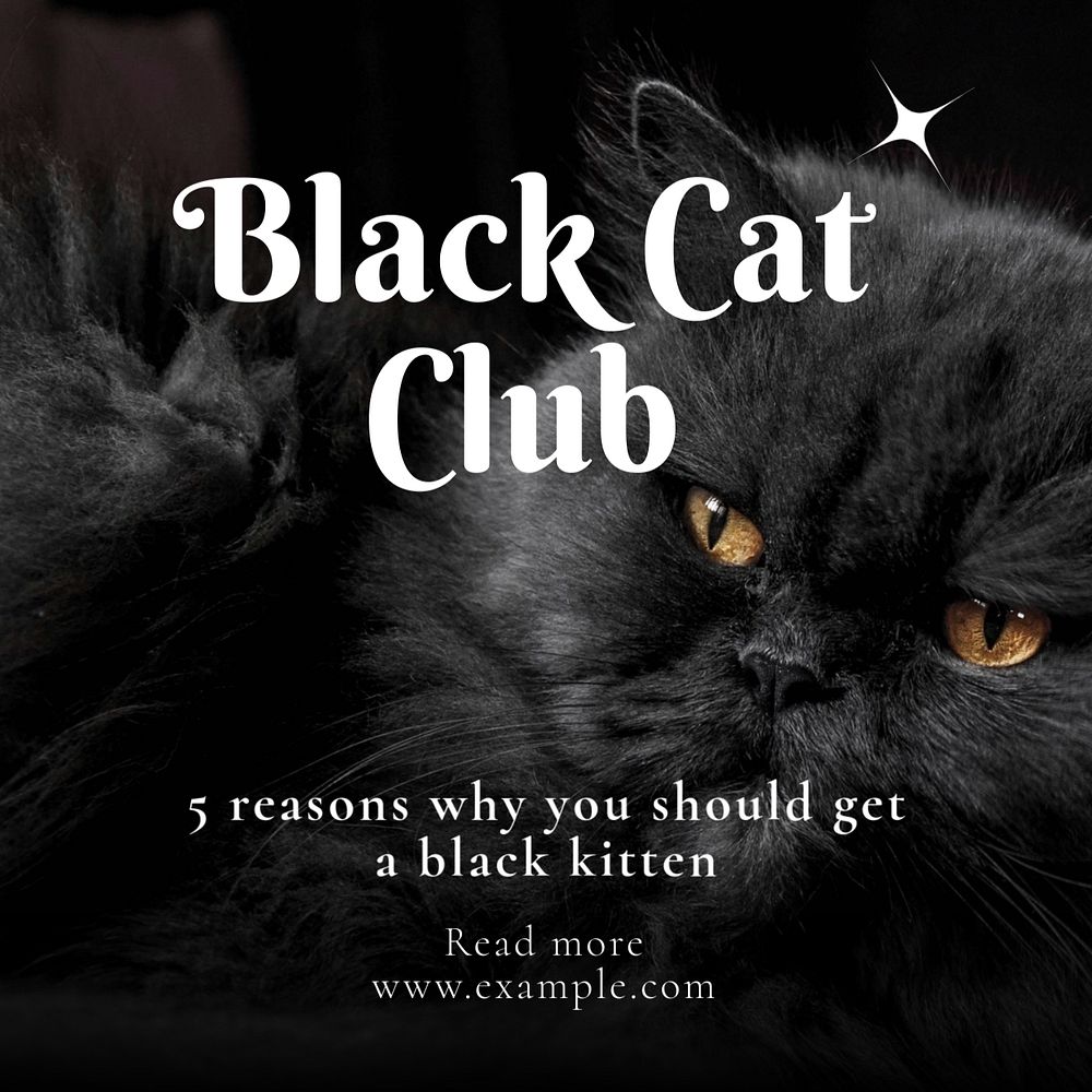 Black cat club Instagram post template, editable text