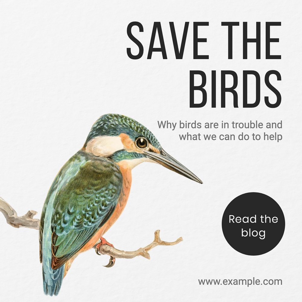 Save the birds Instagram post template, editable text